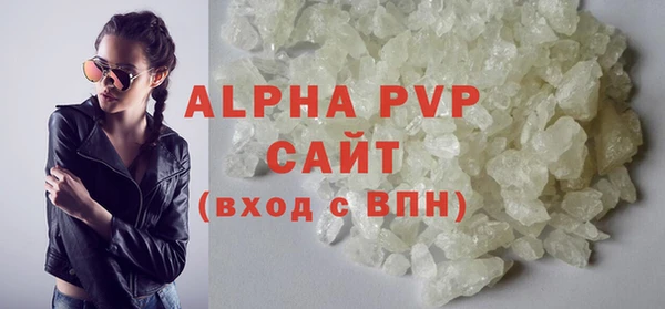 крисы Инта