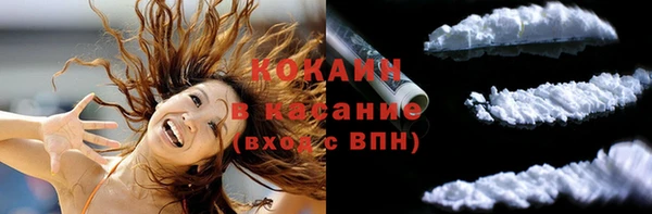 крисы Инта