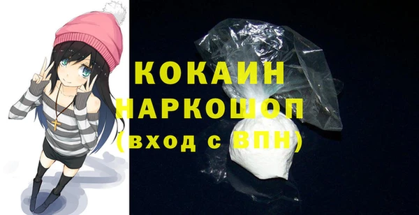 крисы Инта