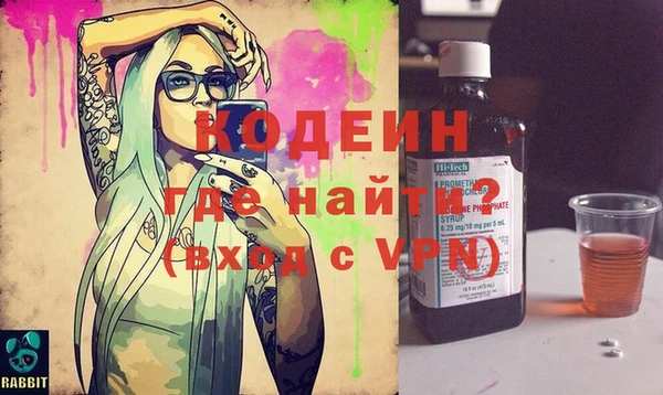 крисы Инта