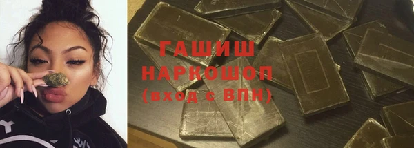 крисы Инта