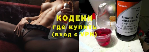 твердый Иннополис