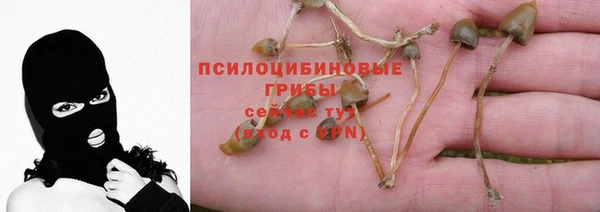 твердый Иннополис