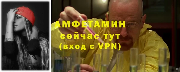 крисы Инта