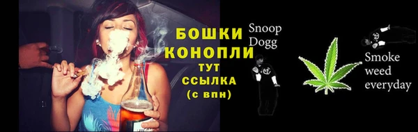 эйфоретик Инсар