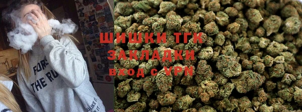 крисы Инта