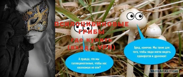 эйфоретик Инсар