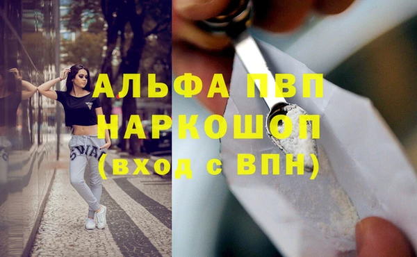 крисы Инта