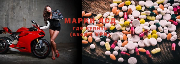 эйфоретик Инсар