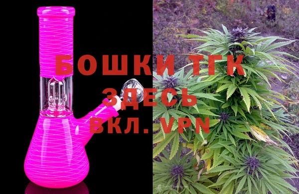 твердый Иннополис