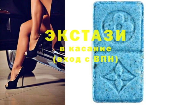 крисы Инта