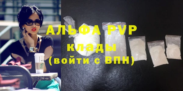 крисы Инта